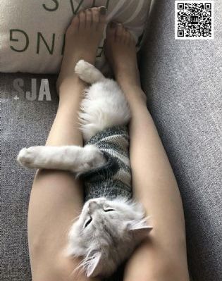 国产大片电影免费视频_BDHD在线观看