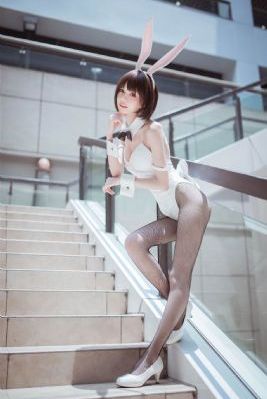 精品手机视频在线观看_4K电影完整版